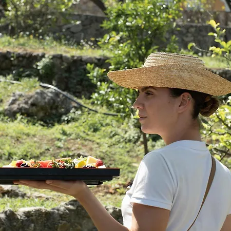 Grecotel Eva Palace (adults Only) コメノ