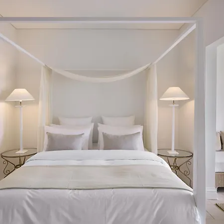 リゾート Grecotel Eva Palace (adults Only) 5*