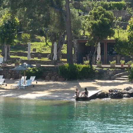 Resort Grecotel Eva Palace (adults Only)